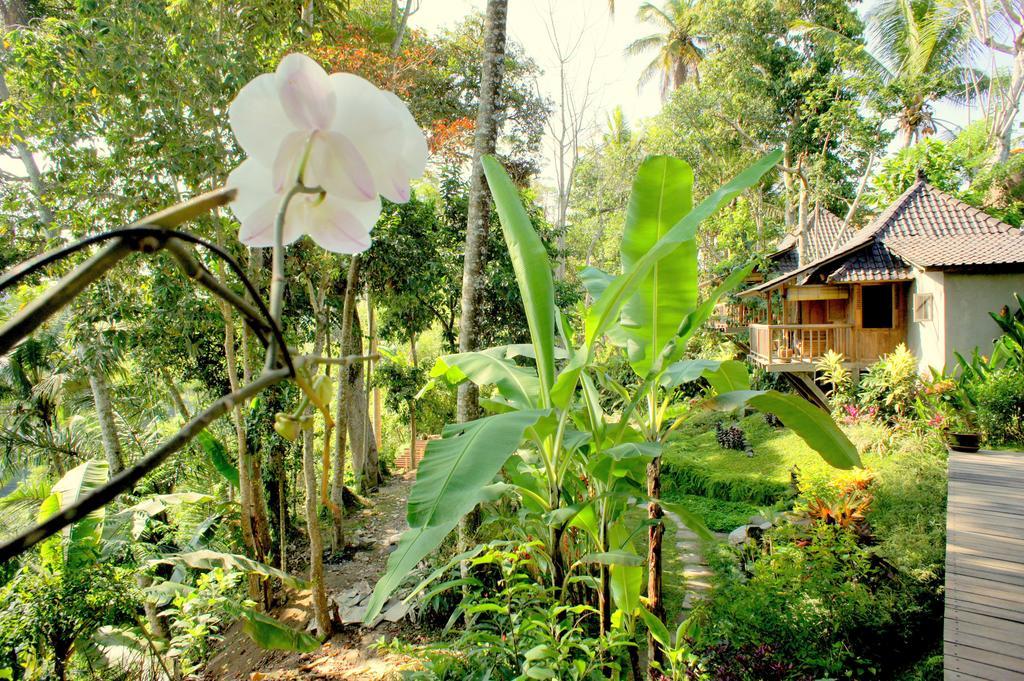Prashanti Bali Ubud Eksteriør bilde