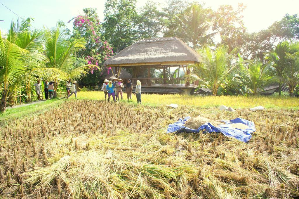 Prashanti Bali Ubud Eksteriør bilde